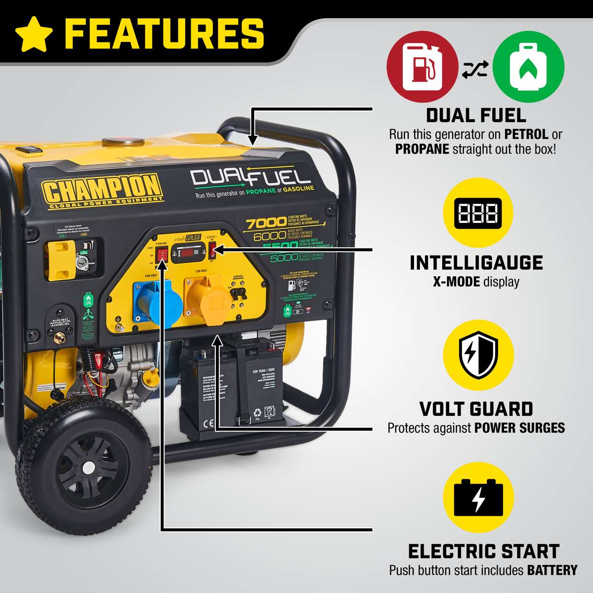 Champion 7000W LPG and Petrol Dual Fuel Generator | Champion Power Equipment